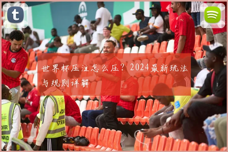 世界杯压注怎么压?2024最新玩法与规则详解