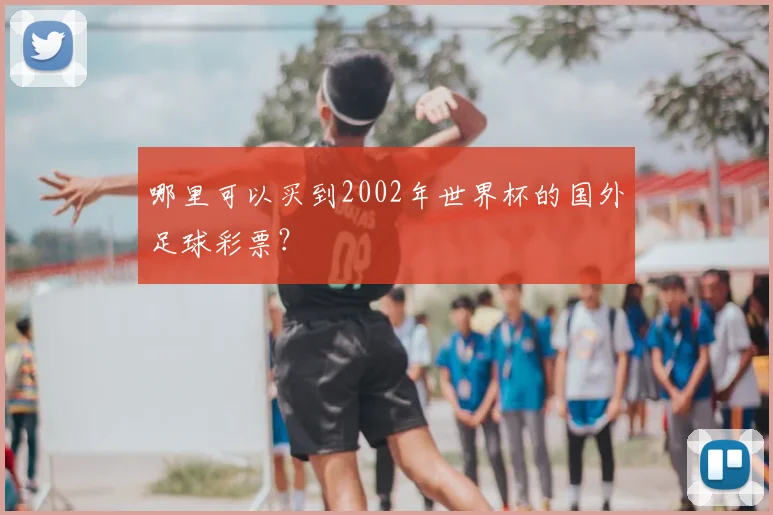 哪里可以买到2002年世界杯的国外足球彩票？