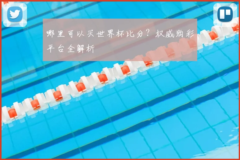 哪里可以买世界杯比分？权威购彩平台全解析