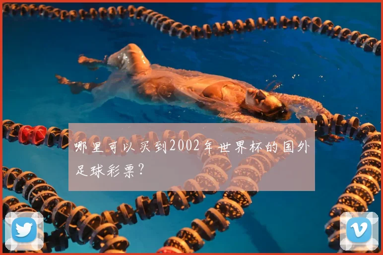 哪里可以买到2002年世界杯的国外足球彩票?